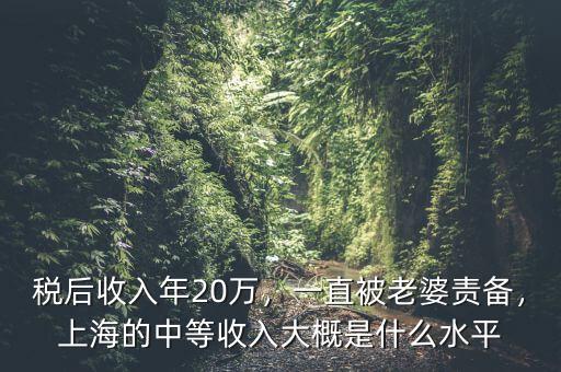稅后收入年20萬，一直被老婆責(zé)備，上海的中等收入大概是什么水平