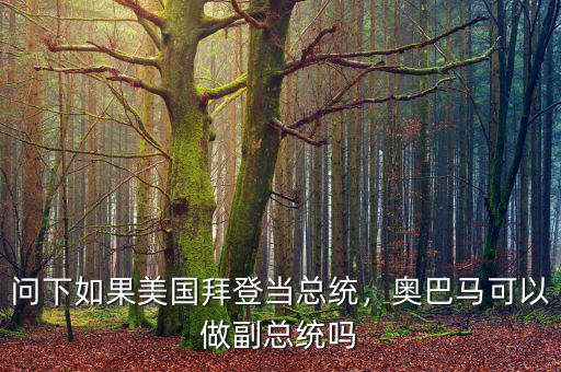 問下如果美國拜登當(dāng)總統(tǒng)，奧巴馬可以做副總統(tǒng)嗎