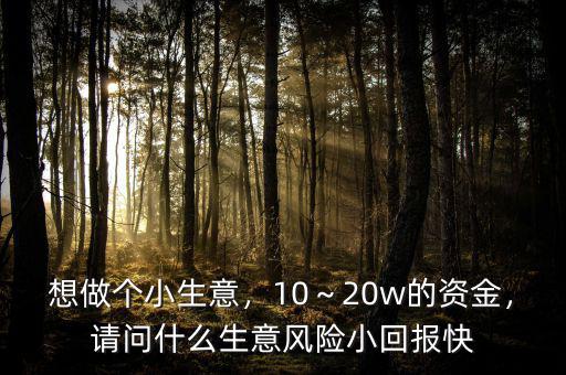 想做個小生意，10～20w的資金，請問什么生意風(fēng)險小回報快