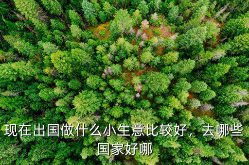 現(xiàn)在出國(guó)做什么小生意比較好，去哪些國(guó)家好哪