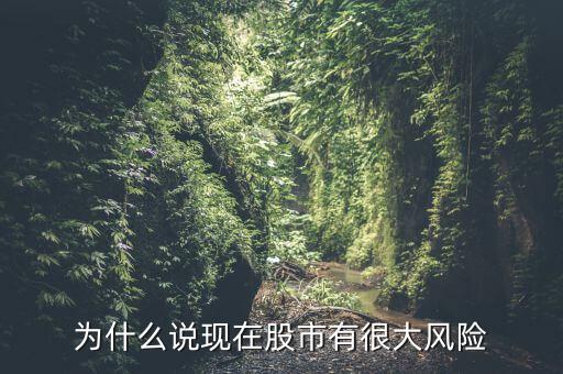 為什么說(shuō)現(xiàn)在股市有很大風(fēng)險(xiǎn)