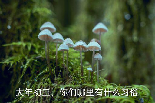 大年初三，你們哪里有什么習(xí)俗