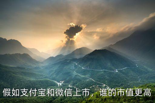 假如支付寶和微信上市，誰(shuí)的市值更高