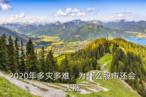 2020年多災(zāi)多難，為什么股市還會(huì)大漲