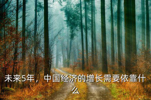 未來5年，中國經(jīng)濟的增長需要依靠什么