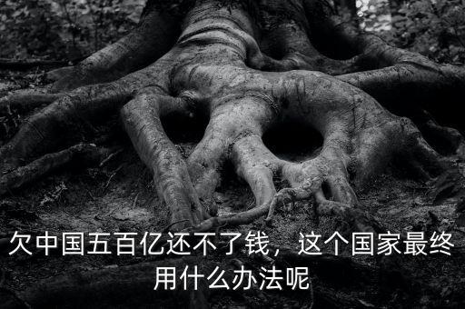 欠中國(guó)五百億還不了錢，這個(gè)國(guó)家最終用什么辦法呢