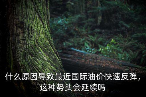 什么原因?qū)е伦罱鼑H油價(jià)快速反彈，這種勢(shì)頭會(huì)延續(xù)嗎