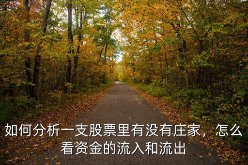 如何分析一支股票里有沒有莊家，怎么看資金的流入和流出