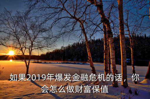 如果2019年爆發(fā)金融危機(jī)的話，你會(huì)怎么做財(cái)富保值