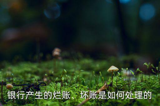 銀行產(chǎn)生的爛賬、壞賬是如何處理的