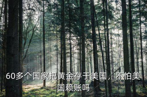 60多個國家把黃金存于美國，不怕美國賴賬嗎