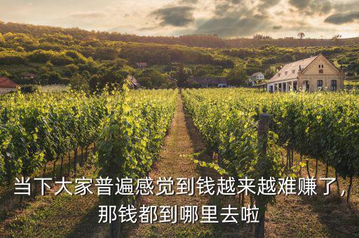 當(dāng)下大家普遍感覺(jué)到錢越來(lái)越難賺了，那錢都到哪里去啦