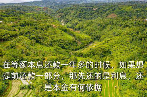 在等額本息還款一年多的時(shí)候，如果想提前還款一部分，那先還的是利息，還是本金有何依據(jù)