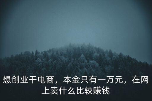 想創(chuàng)業(yè)干電商，本金只有一萬元，在網(wǎng)上賣什么比較賺錢