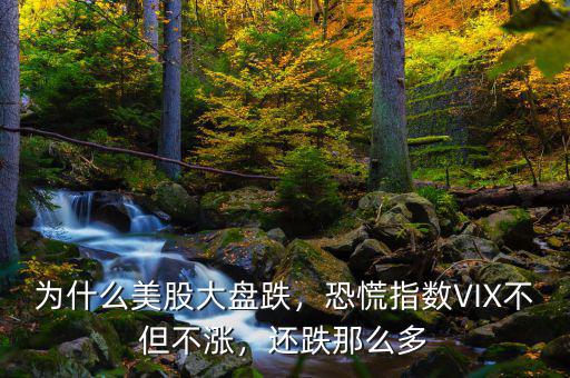 為什么美股大盤跌，恐慌指數(shù)VIX不但不漲，還跌那么多