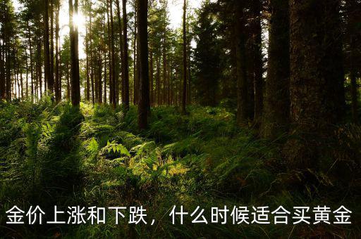 金價上漲和下跌，什么時候適合買黃金
