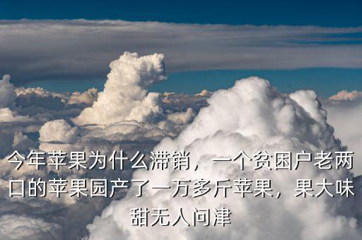 油桃為什么滯銷(xiāo),今年的油桃市場(chǎng)為什么這么好