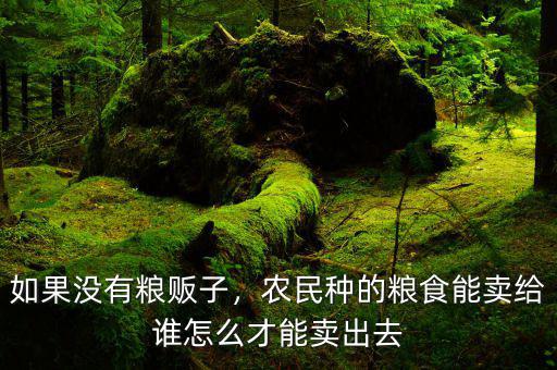 如果沒有糧販子，農(nóng)民種的糧食能賣給誰怎么才能賣出去