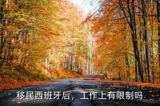 移民西班牙后，工作上有限制嗎