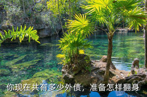 你現(xiàn)在共有多少外債，準(zhǔn)備怎樣翻身