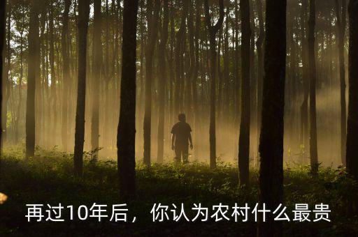 再過10年后，你認為農村什么最貴