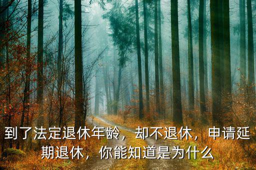 到了法定退休年齡，卻不退休，申請延期退休，你能知道是為什么