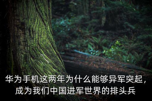 華為手機這兩年為什么能夠異軍突起，成為我們中國進軍世界的排頭兵