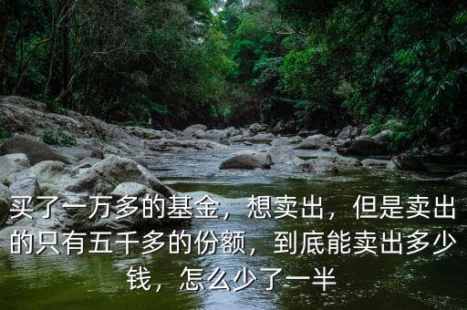 買了一萬多的基金，想賣出，但是賣出的只有五千多的份額，到底能賣出多少錢，怎么少了一半