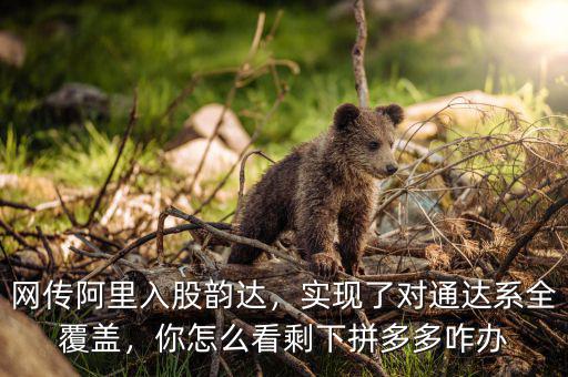 網(wǎng)傳阿里入股韻達，實現(xiàn)了對通達系全覆蓋，你怎么看剩下拼多多咋辦