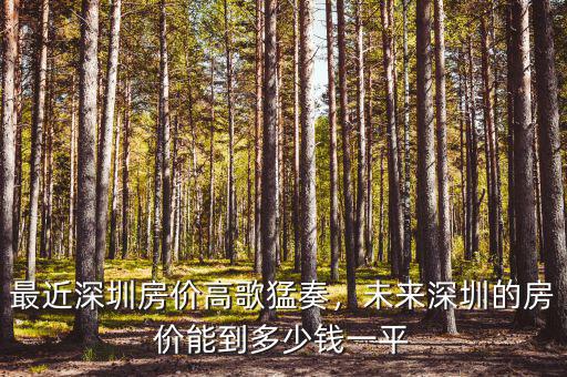 最近深圳房價高歌猛奏，未來深圳的房價能到多少錢一平
