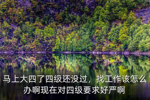 馬上大四了四級還沒過，找工作該怎么辦啊現(xiàn)在對四級要求好嚴(yán)啊
