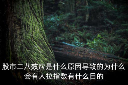 股市二八效應是什么原因?qū)е碌臑槭裁磿腥死笖?shù)有什么目的
