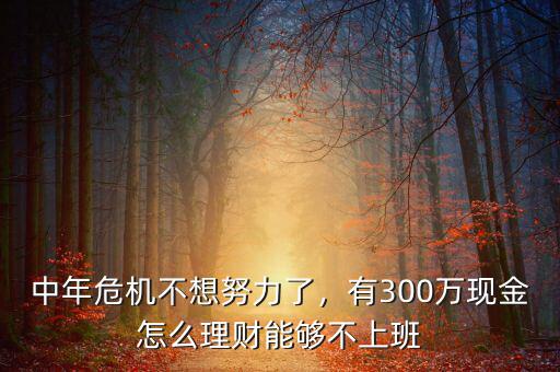中年危機不想努力了，有300萬現(xiàn)金怎么理財能夠不上班