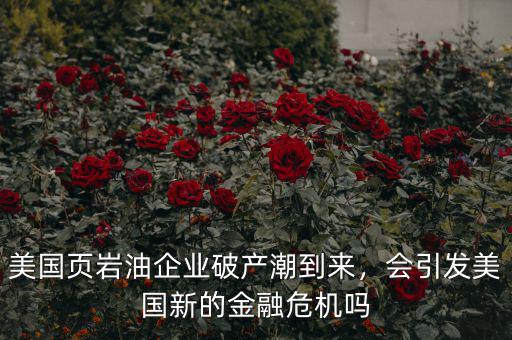 美國(guó)頁(yè)巖油企業(yè)破產(chǎn)潮到來(lái)，會(huì)引發(fā)美國(guó)新的金融危機(jī)嗎
