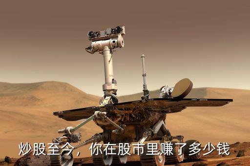 炒股至今，你在股市里賺了多少錢