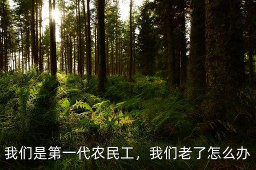 我們是第一代農(nóng)民工，我們老了怎么辦