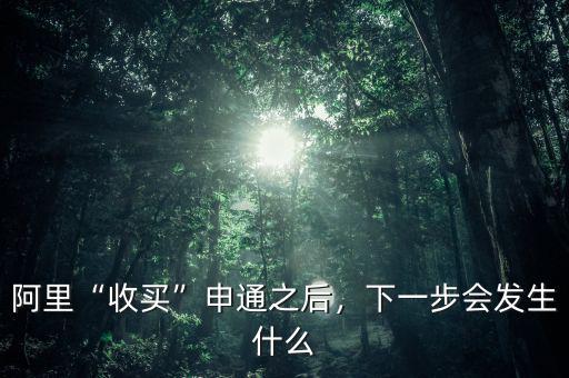 阿里“收買”申通之后，下一步會(huì)發(fā)生什么
