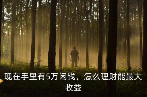現(xiàn)在手里有5萬(wàn)閑錢(qián)，怎么理財(cái)能最大收益