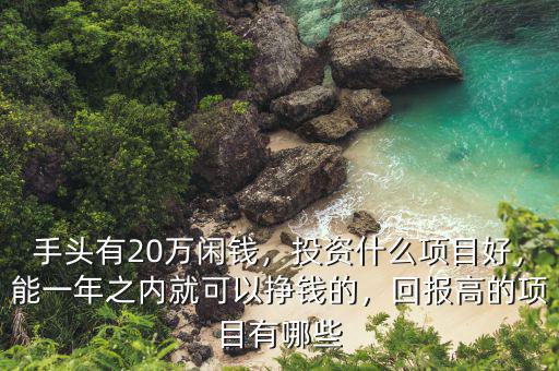 手頭有20萬閑錢，投資什么項(xiàng)目好，能一年之內(nèi)就可以掙錢的，回報高的項(xiàng)目有哪些