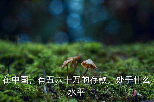 在中國，有五六十萬的存款，處于什么水平