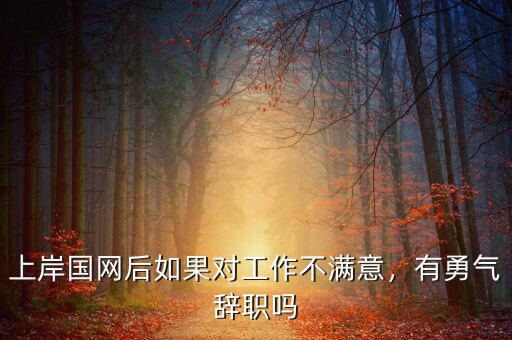 上岸國網(wǎng)后如果對工作不滿意，有勇氣辭職嗎