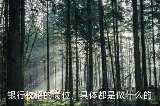 銀行校招的崗位，具體都是做什么的