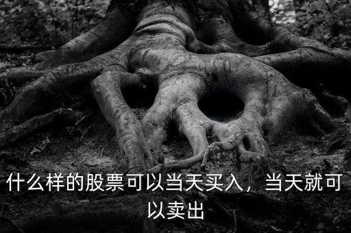 什么樣的股票可以當(dāng)天買(mǎi)入，當(dāng)天就可以賣(mài)出