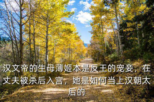 漢文帝的生母薄姬本是反王的寵妾，在丈夫被殺后入宮，她是如何當(dāng)上漢朝太后的