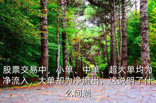 股票交易中，小單、中單、超大單均為凈流入，大單卻為凈流出，這說(shuō)明了什么問(wèn)題