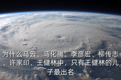 為什么馬云、馬化騰、李彥宏、柳傳志、許家印、王健林中，只有王健林的兒子最出名