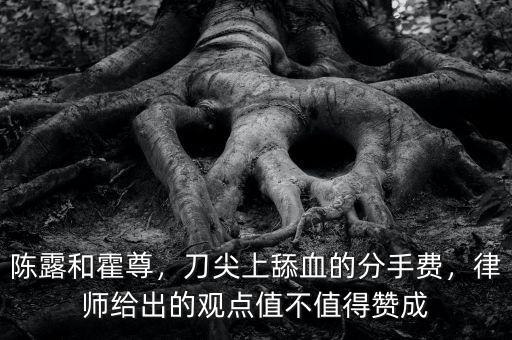 陳露和霍尊，刀尖上舔血的分手費，律師給出的觀點值不值得贊成