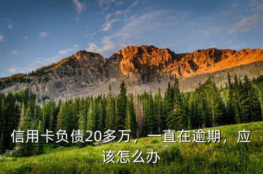 信用卡負(fù)債20多萬，一直在逾期，應(yīng)該怎么辦