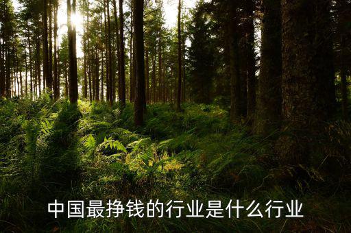 全國(guó)排行前十的賺錢軟件是什么,中國(guó)最掙錢的行業(yè)是什么行業(yè)