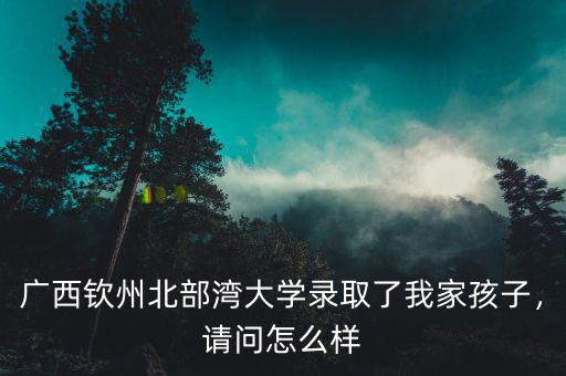 廣西欽州北部灣大學(xué)錄取了我家孩子，請(qǐng)問(wèn)怎么樣